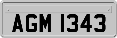AGM1343