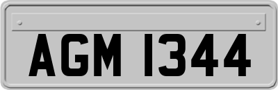 AGM1344
