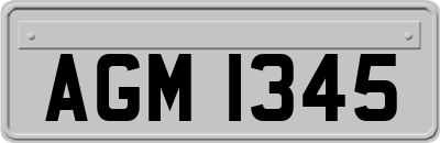 AGM1345