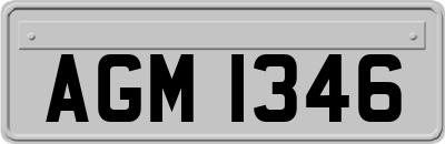 AGM1346