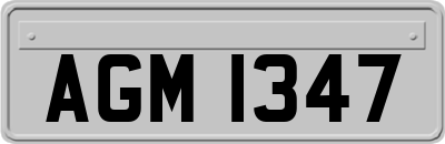 AGM1347