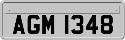 AGM1348