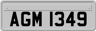 AGM1349