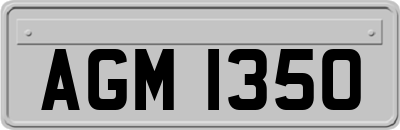 AGM1350