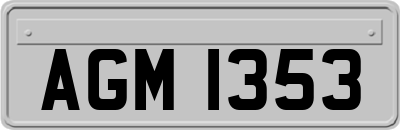 AGM1353