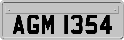 AGM1354