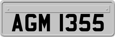 AGM1355