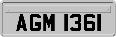 AGM1361
