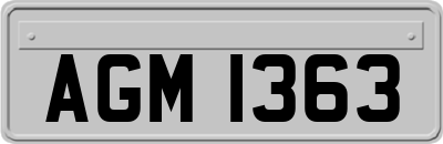 AGM1363