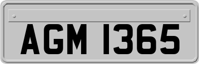 AGM1365