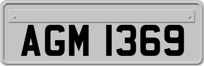 AGM1369