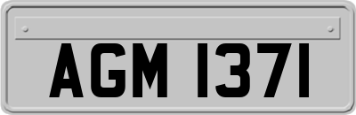 AGM1371