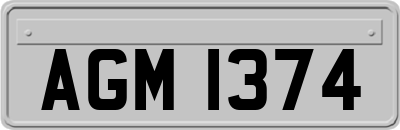 AGM1374