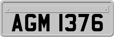 AGM1376