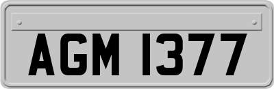 AGM1377