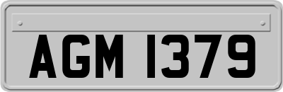 AGM1379
