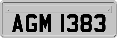AGM1383