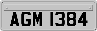 AGM1384