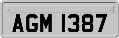 AGM1387