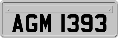 AGM1393