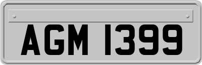 AGM1399