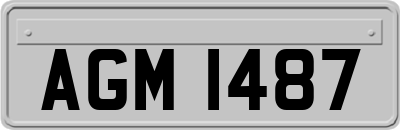 AGM1487