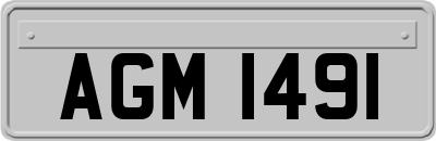 AGM1491