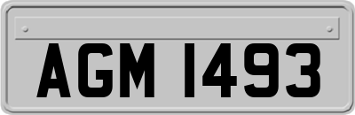 AGM1493