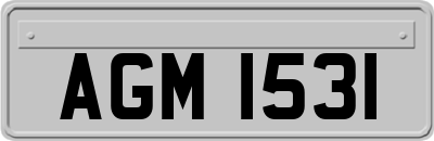 AGM1531
