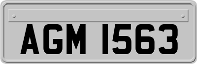 AGM1563