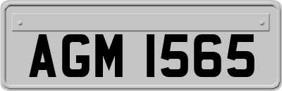AGM1565