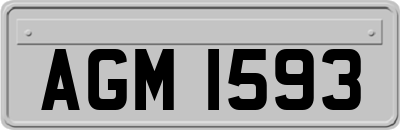 AGM1593