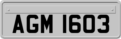 AGM1603