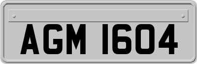AGM1604