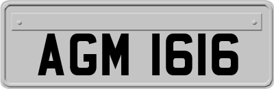 AGM1616