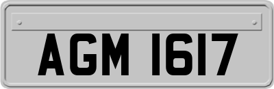 AGM1617