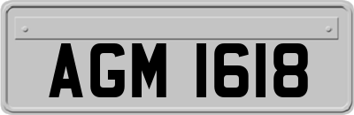 AGM1618