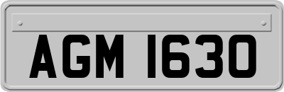 AGM1630