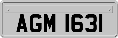AGM1631