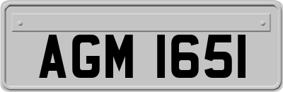 AGM1651