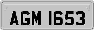 AGM1653