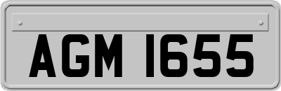 AGM1655