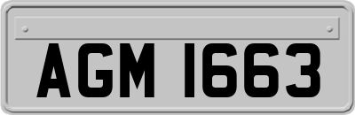 AGM1663