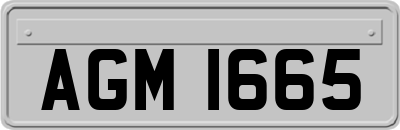 AGM1665