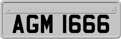 AGM1666