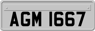 AGM1667