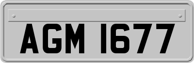 AGM1677