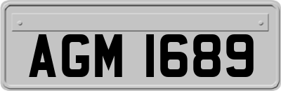 AGM1689