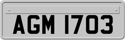 AGM1703