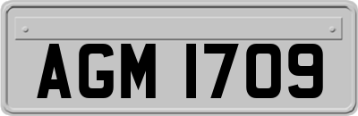 AGM1709